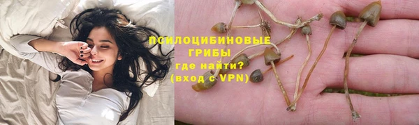 ПСИЛОЦИБИНОВЫЕ ГРИБЫ Абаза