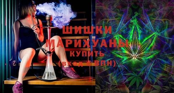 ПСИЛОЦИБИНОВЫЕ ГРИБЫ Абаза
