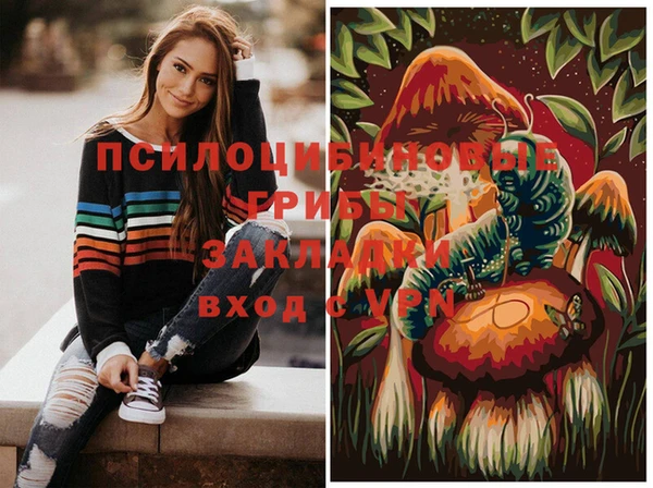 2c-b Абдулино