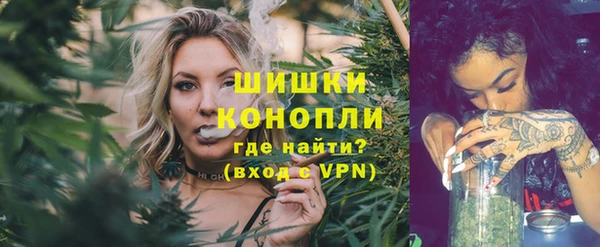 ПСИЛОЦИБИНОВЫЕ ГРИБЫ Абаза
