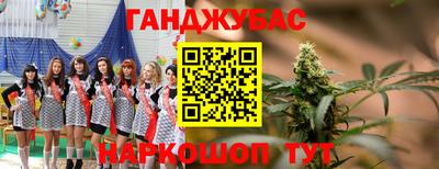 амф Тула