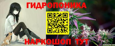 тгк Пугачёв