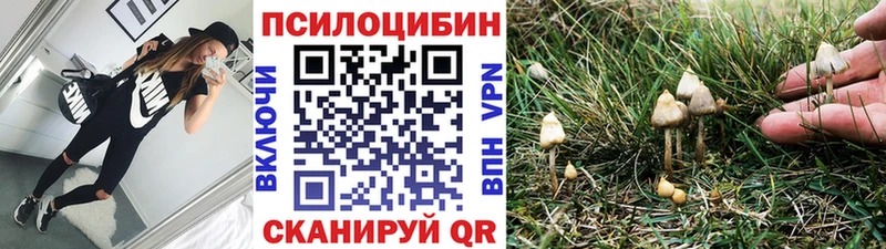 Галлюциногенные грибы Magic Shrooms  Новотроицк 