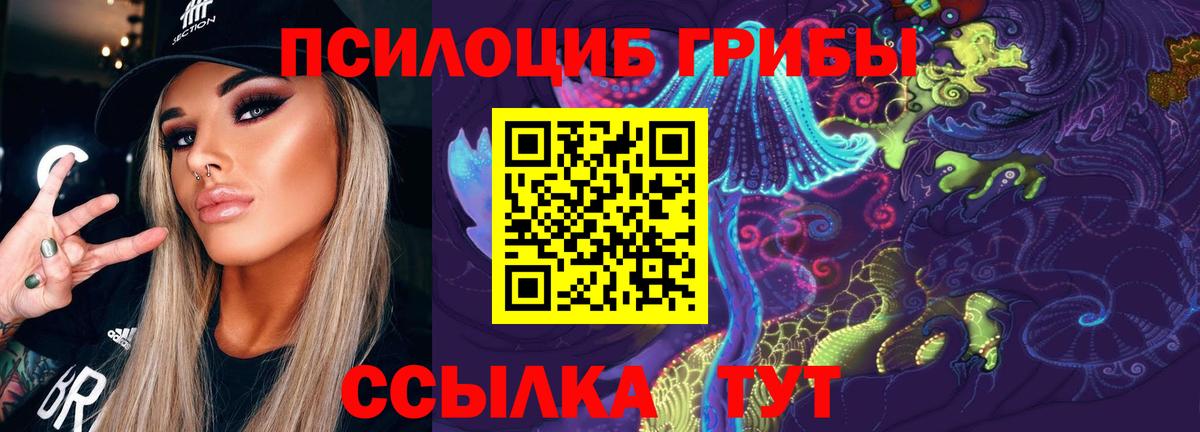 Новотроицк  Псилоцибиновые грибы ЛСД  Псилоцибиновые грибы GOLDEN TEACHER  Вход с VPN 